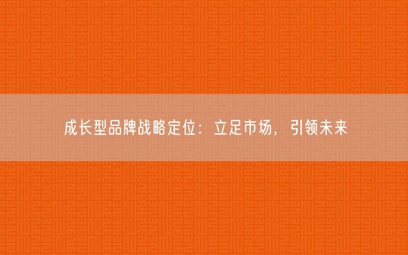 成長型品牌戰(zhàn)略定位：立足市場，引領未來(圖1)